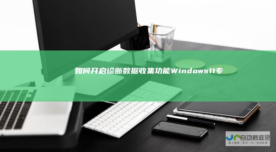 如何开启诊断数据收集功能 Windows 11专业级教程