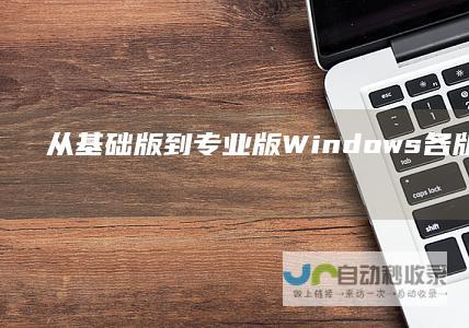 从基础版到专业版 Windows 各版本英文命名全面解读 一文尽览 11