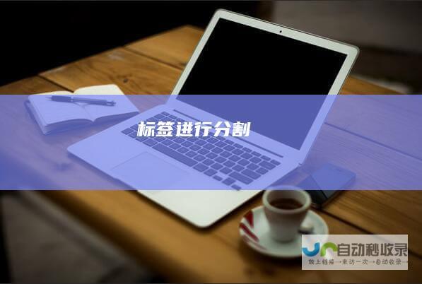 标签进行分割