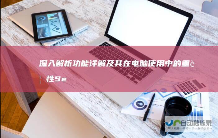 深入解析 功能详解及其在电脑使用中的重要性 Search Windows