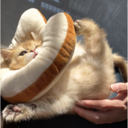 相关推荐