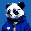 相关推荐