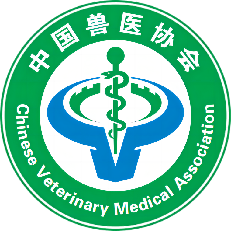 相关推荐