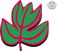 相关推荐