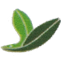 相关推荐