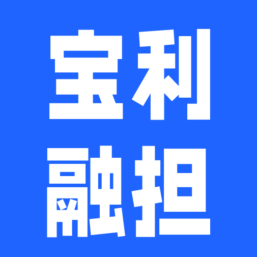 青海宝利融资担保有限责任公司