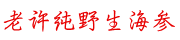 海参