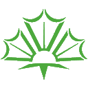 森朝照明