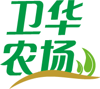 相关推荐