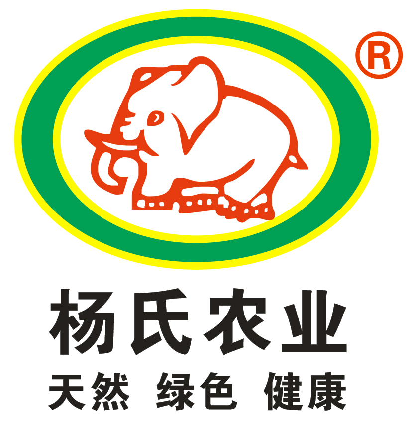 相关推荐