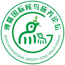 中国游