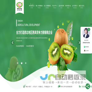 陕西绿心猕猴桃价格