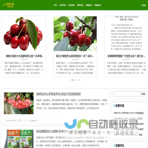 水果百科知识
