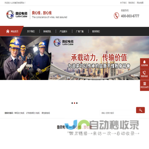 山东鲁欣电缆