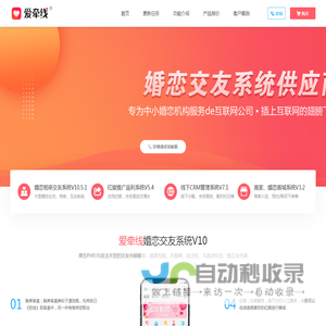 婚恋系统