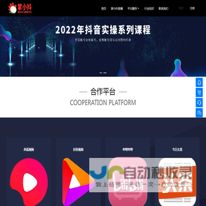 掌小抖