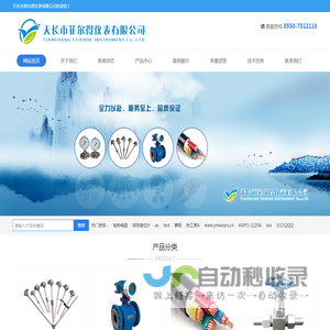 天长市菲尔得仪表有限公司