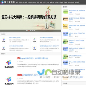 掌上汽车网