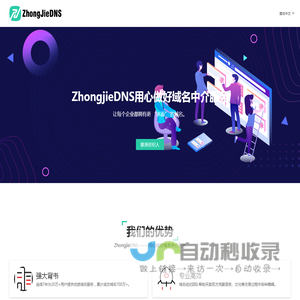 ZhongjieDNS
