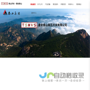 泰山开关