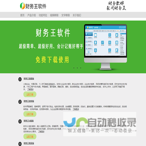 财务软件
