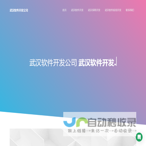 武汉软件外包公司
