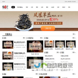 懂茶帝