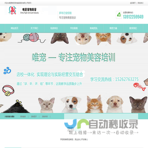 南通宠物美容培训