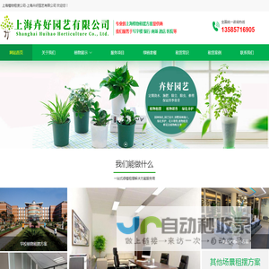 上海绿植租赁公司
