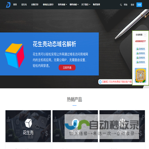 DDNS官网