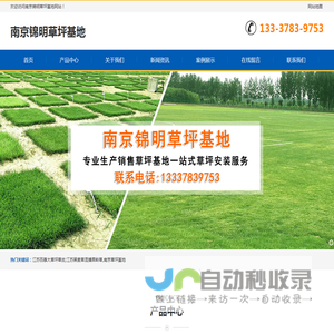 江苏百慕大草坪草皮