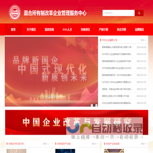 混合所有制改革企业管理中心