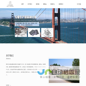 镀锌丝,钢纤维,粘排钢纤维,端钩钢纤维厂家-晋州光雅金属制品有限公司