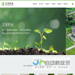 高端原料药碳酸钙