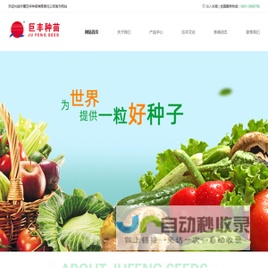 宁夏巨丰种苗有限责任公司