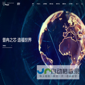 普冉半导体(上海)股份有限公司