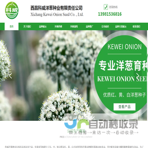 西昌科威洋葱种业有限责任公司