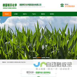 德国顿贝化学国际股份有限公司