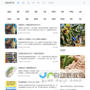 青苔关特产网