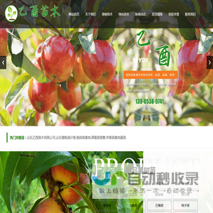 山东乙酉苗木有限公司,山东樱桃苗价格,桃树苗基地,草莓苗销售,苹果苗基地直销