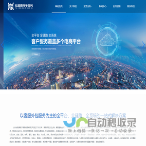 山东钛极鼎电子商务集团有限公司