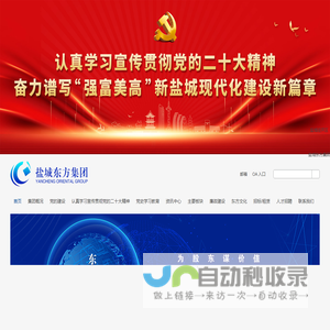 盐城东方投资开发集团有限公司[东方集团