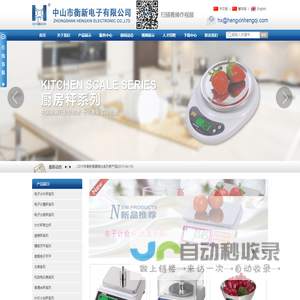 中山市衡新电子有限公司