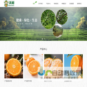 新鲜沃柑