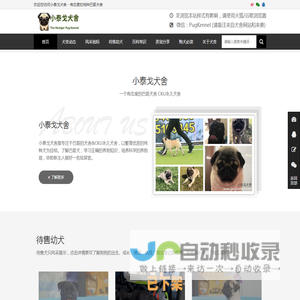 小泰戈巴哥犬舍