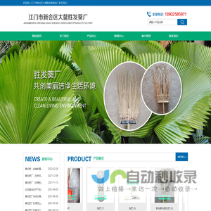 葵扫把