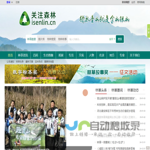 关注森林
