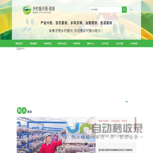河南乡村振兴网