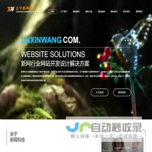 辽宁网站技术开发