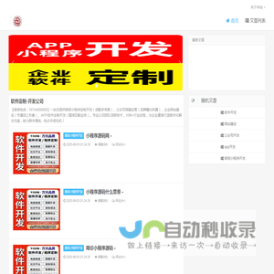 软件定制